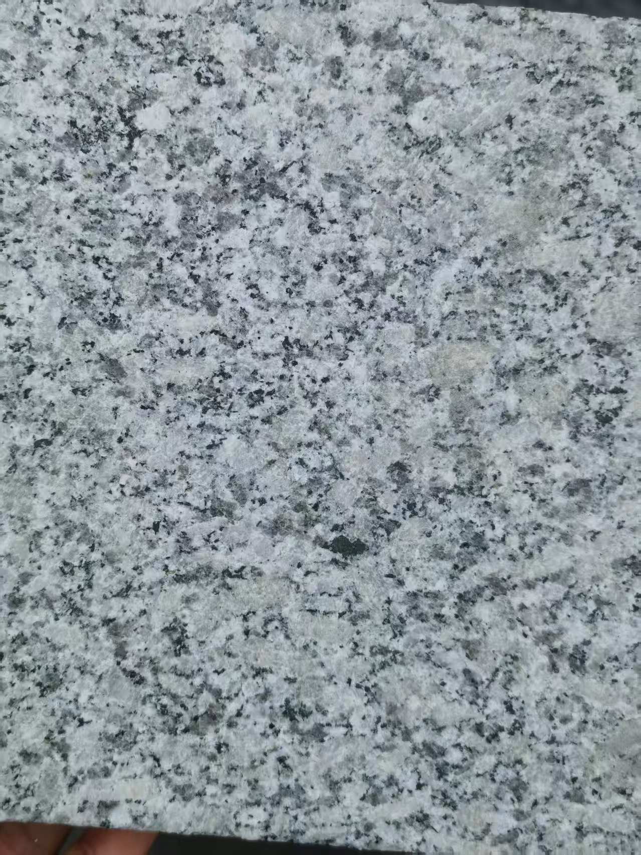 黑龙江 芙蓉白火烧面
