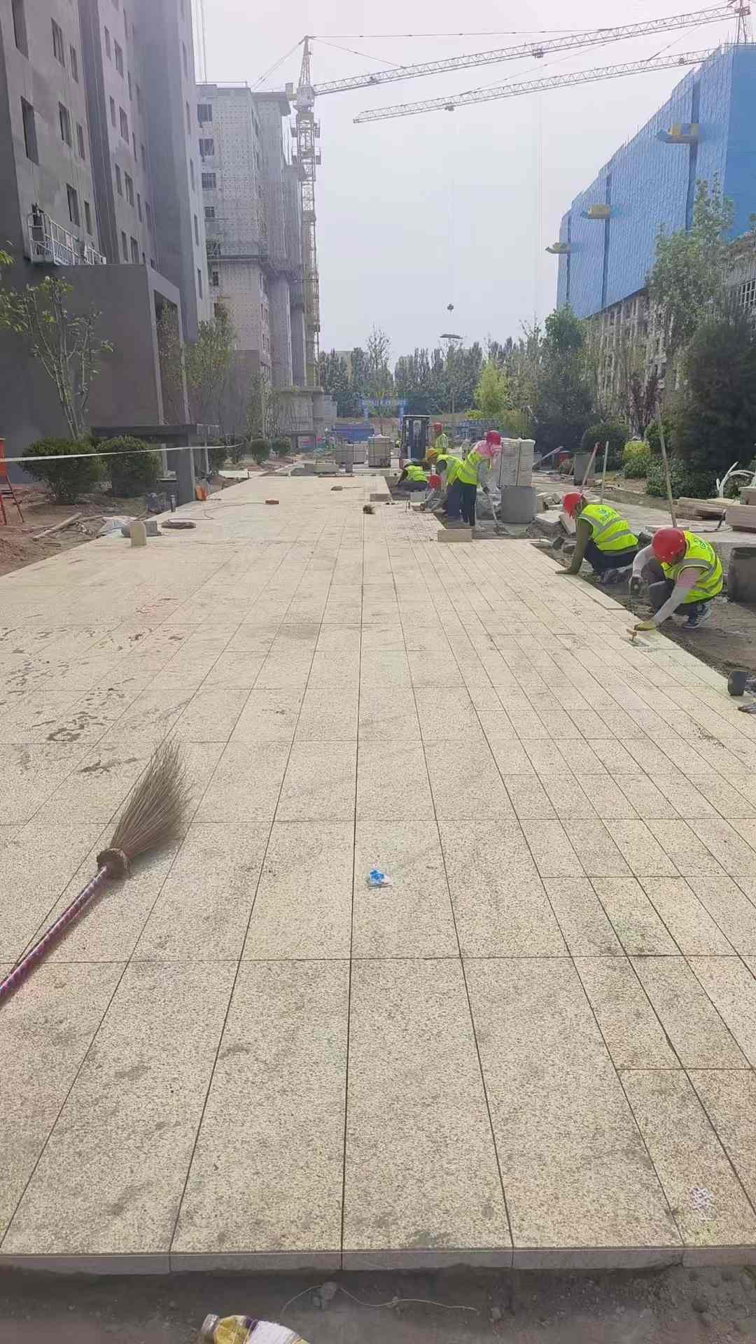 黑龙江黄金麻荔枝面地铺案例