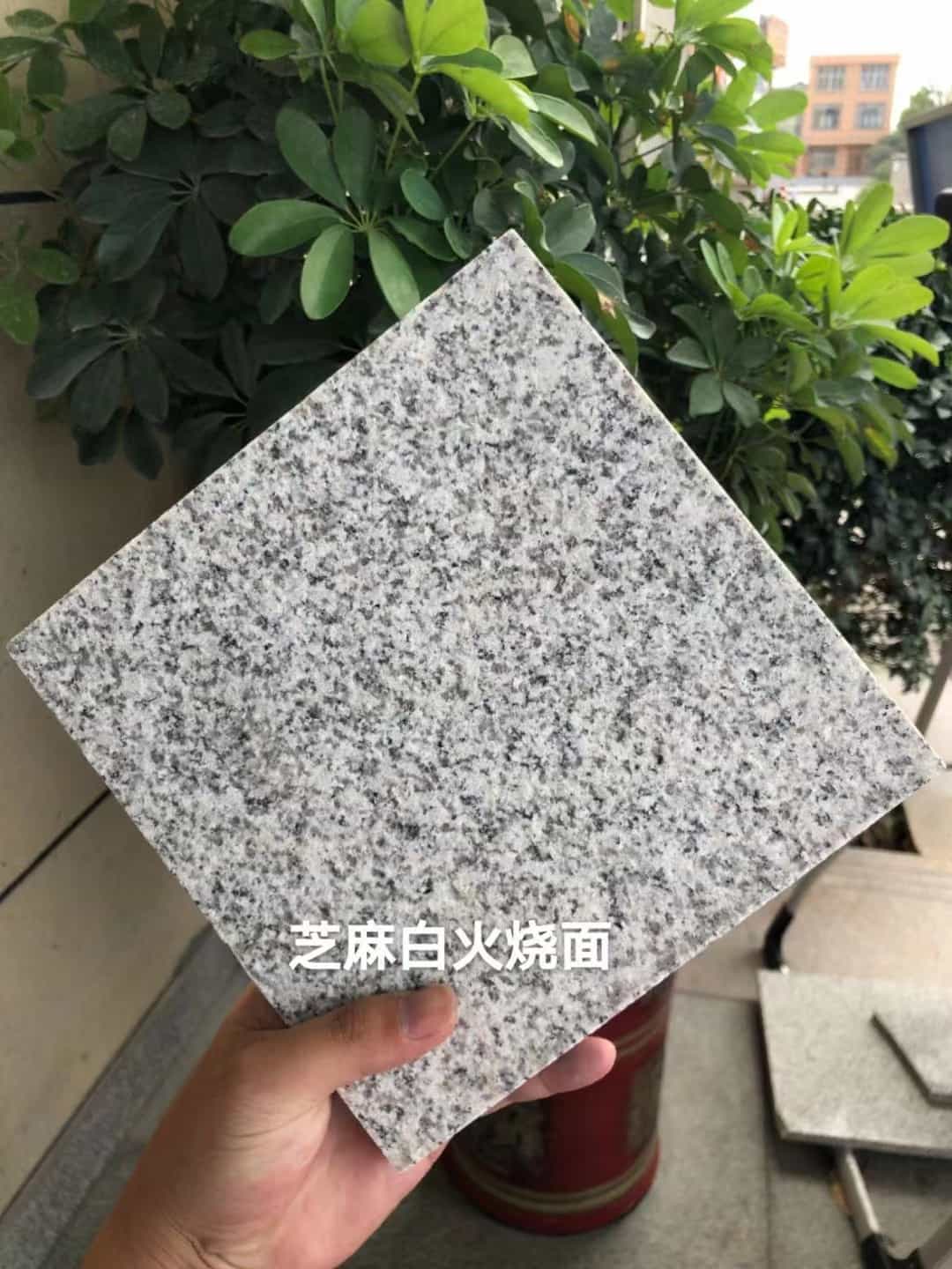 黑龙江芝麻白火烧面地铺