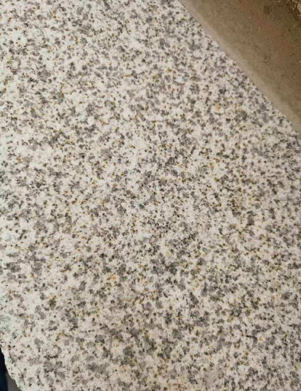 黑龙江 黄金麻中黄光面